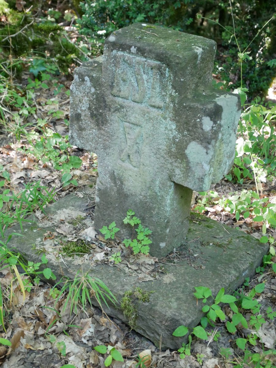 Andra Mari Zuria. galbarioko gurutzea, Jaurrieta