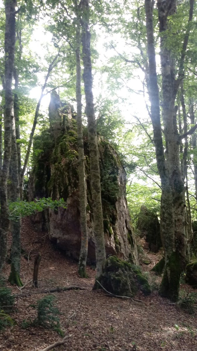 Araxamendi (1338m) tontorraldea