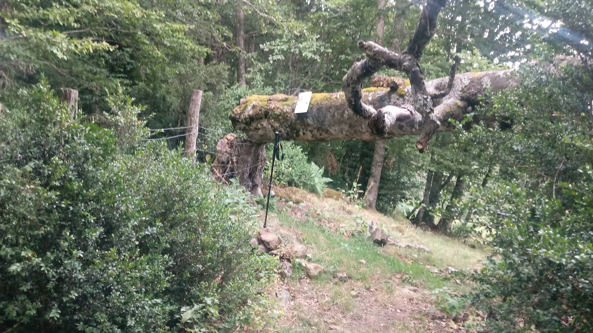 Borrokoxko (1395m) tontorra