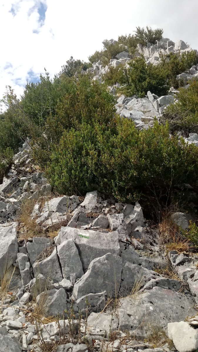 Pausaran (1267m) azken metroak, eskuekin helduz igo behar da