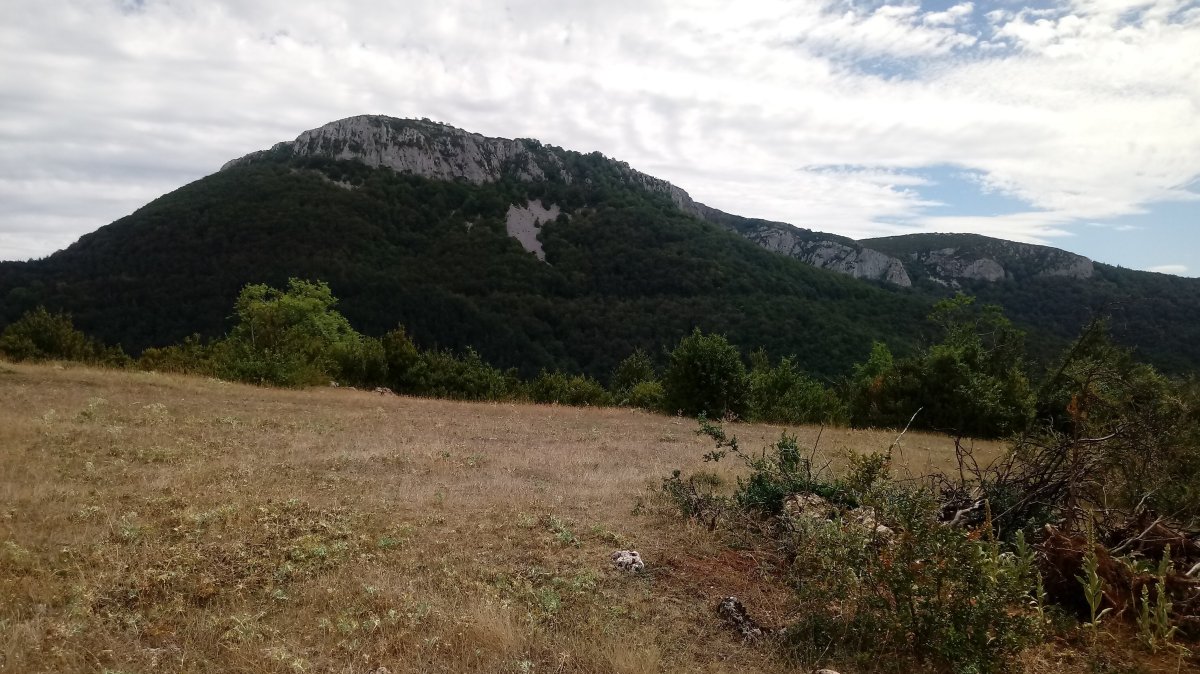 Pausaran (1267m) Imizkotz aldetik ikusita