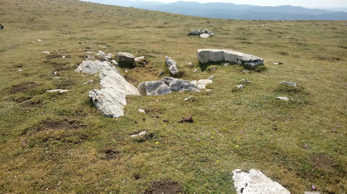 Arrizabala trikuharria (2020)