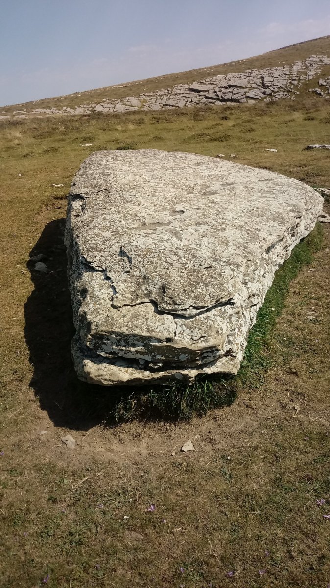 Arrizabala zutarria (2020)