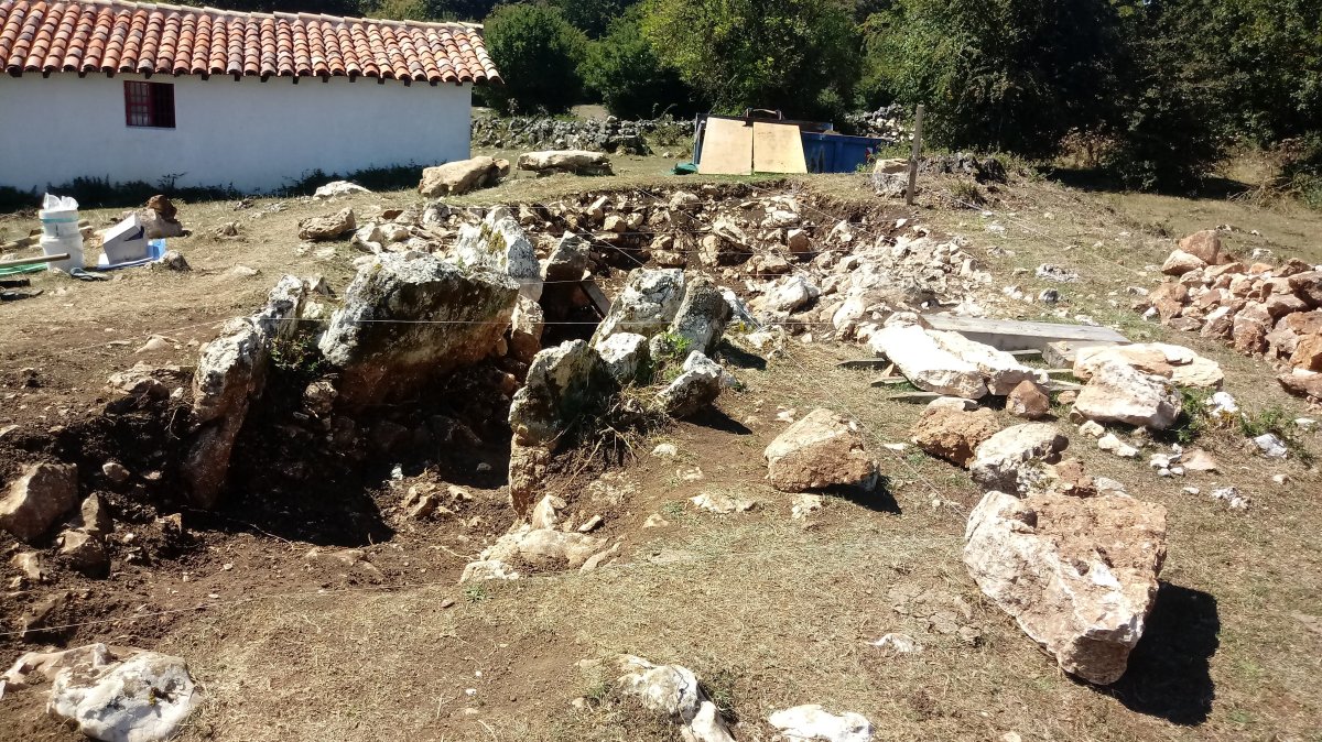 Legaire H trikuharria