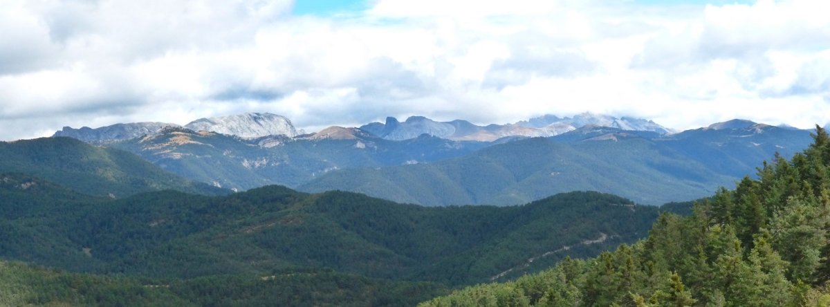 Pirinioak Igariko mendateko bidetik