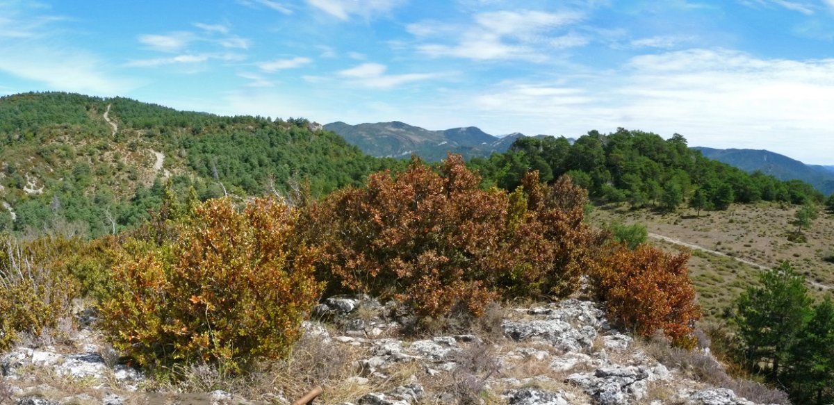 Kaztelualdeko gailurra