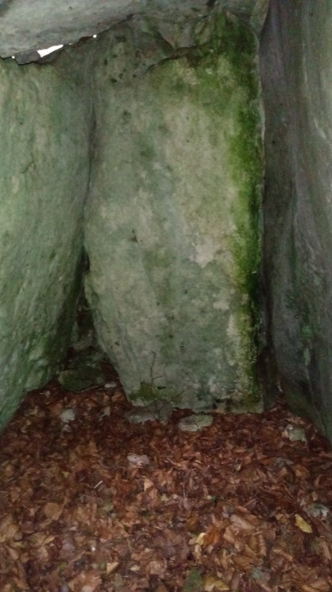 Ziñeko Gurutze trikuharria