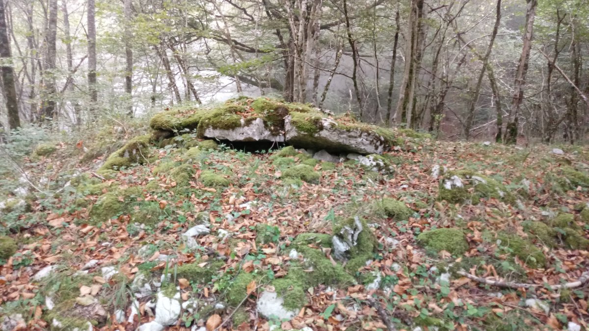 Ziñeko Gurutze trikuharria