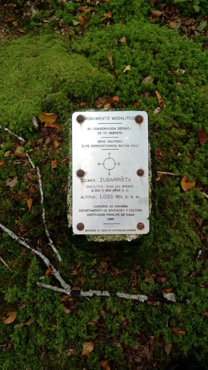 Zubarrieta trikuharria