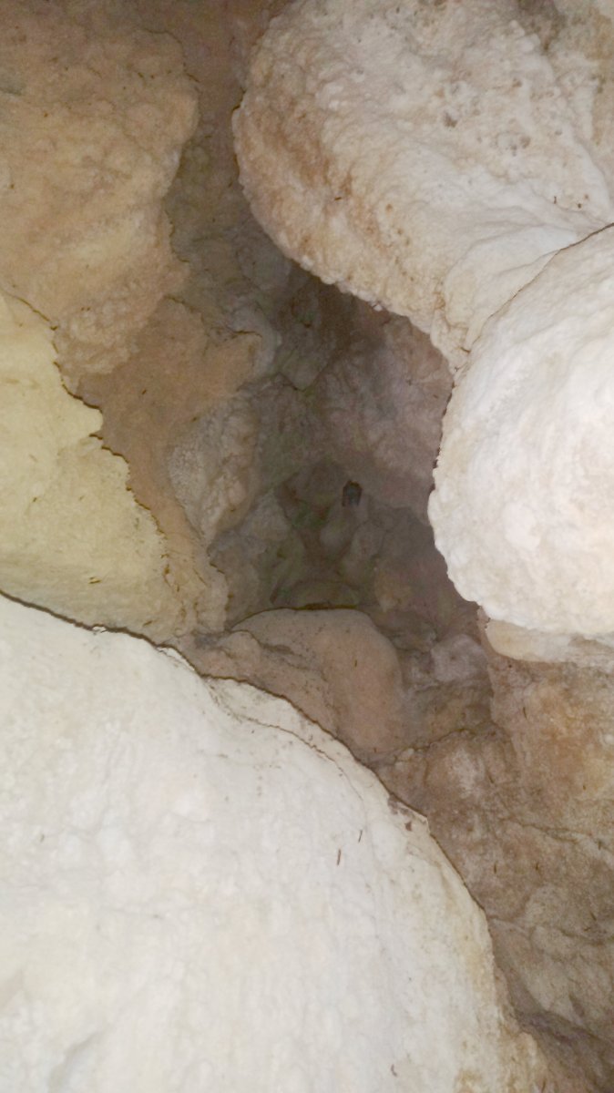 Elkorretako haitzuloa