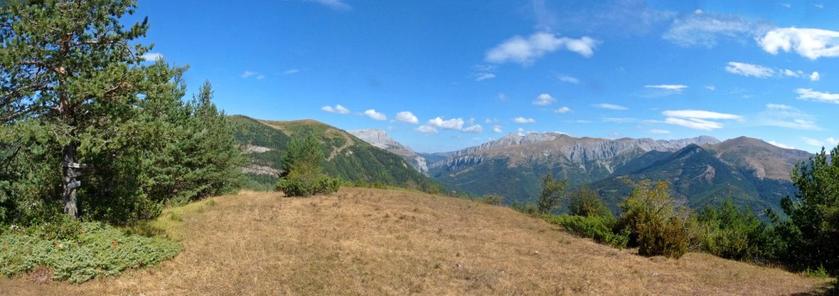 Erdi ezabatuturiko seinaleak bidean