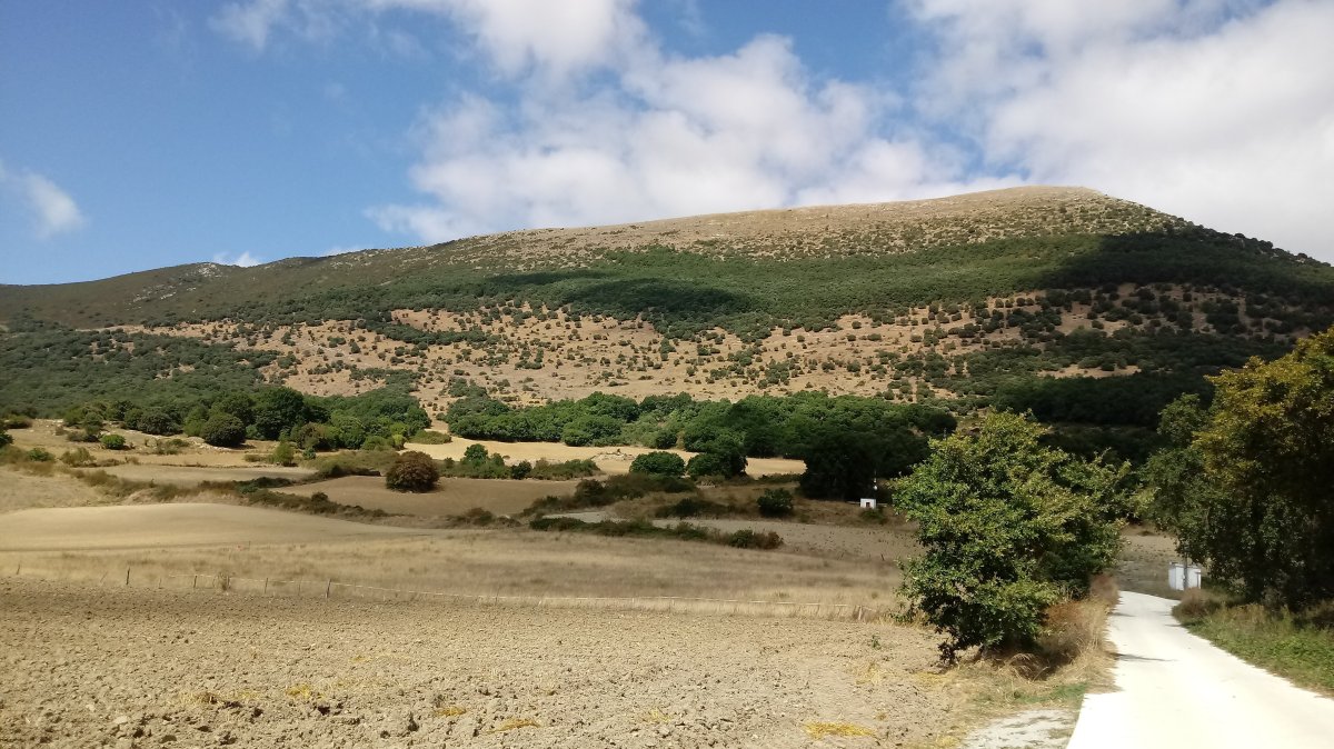 Txurregi (1125m), Ollo herritik ikusita