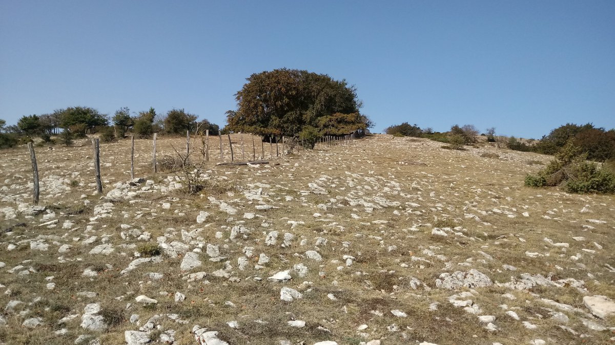 Goñiko Gainak (1265m) igoera, Goñerri-Ollaran hesiaren ondotik