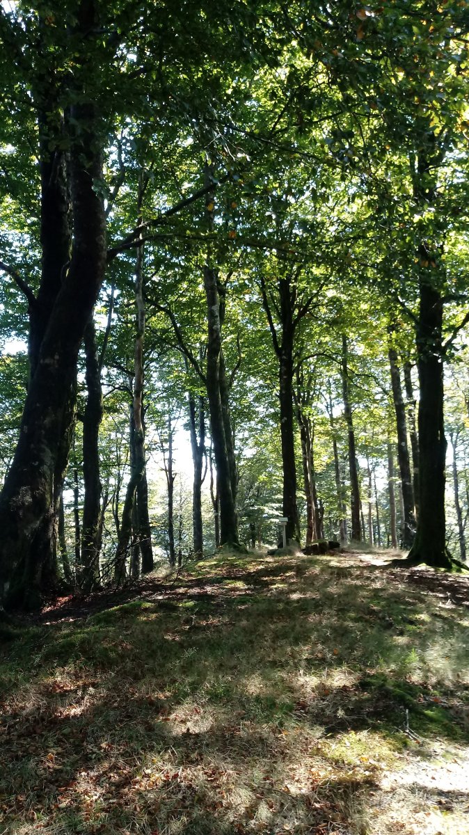Begaña (1104m) tontorra