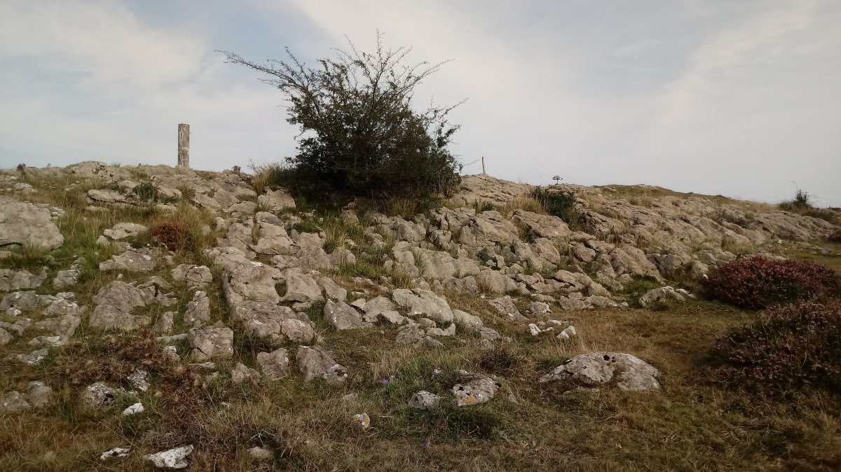 Arralde (945m) tontorra