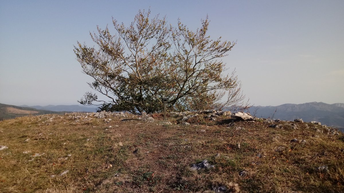 Arimekorta (939m) tontorra