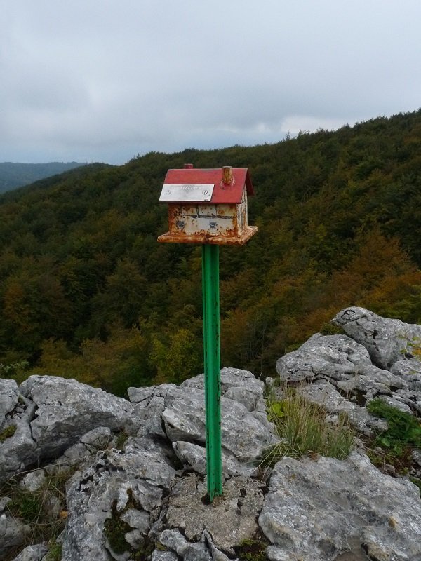 Linategietako buzoia