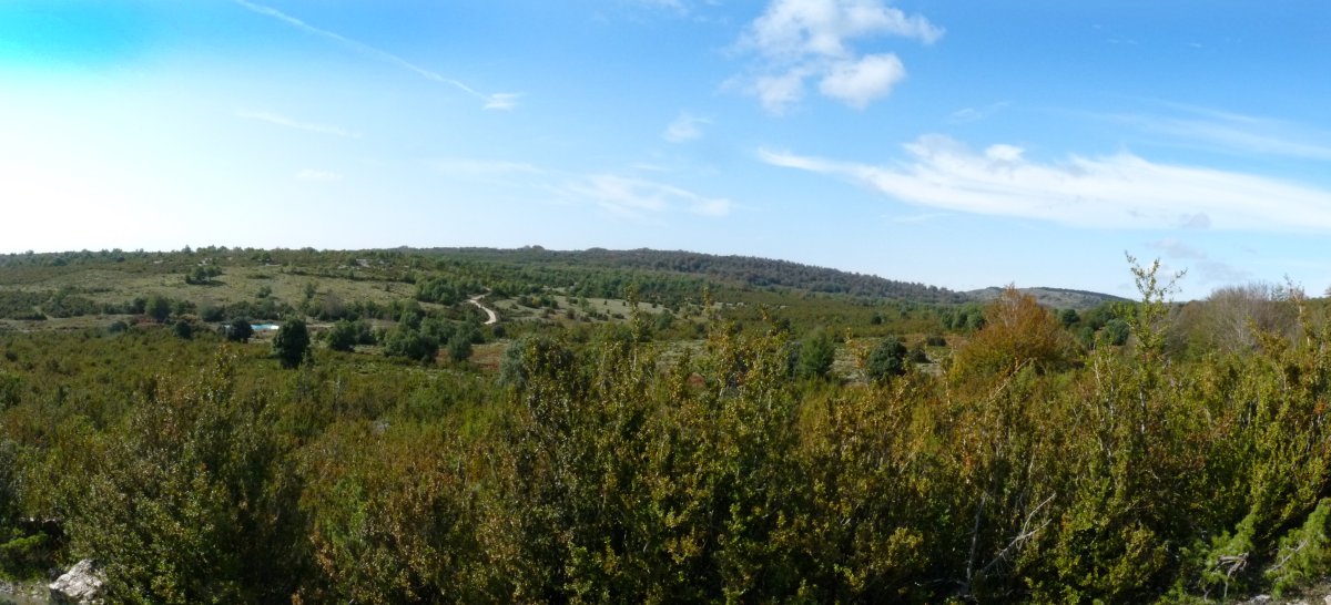 Arastegi gaina, Olataguasko bidetik