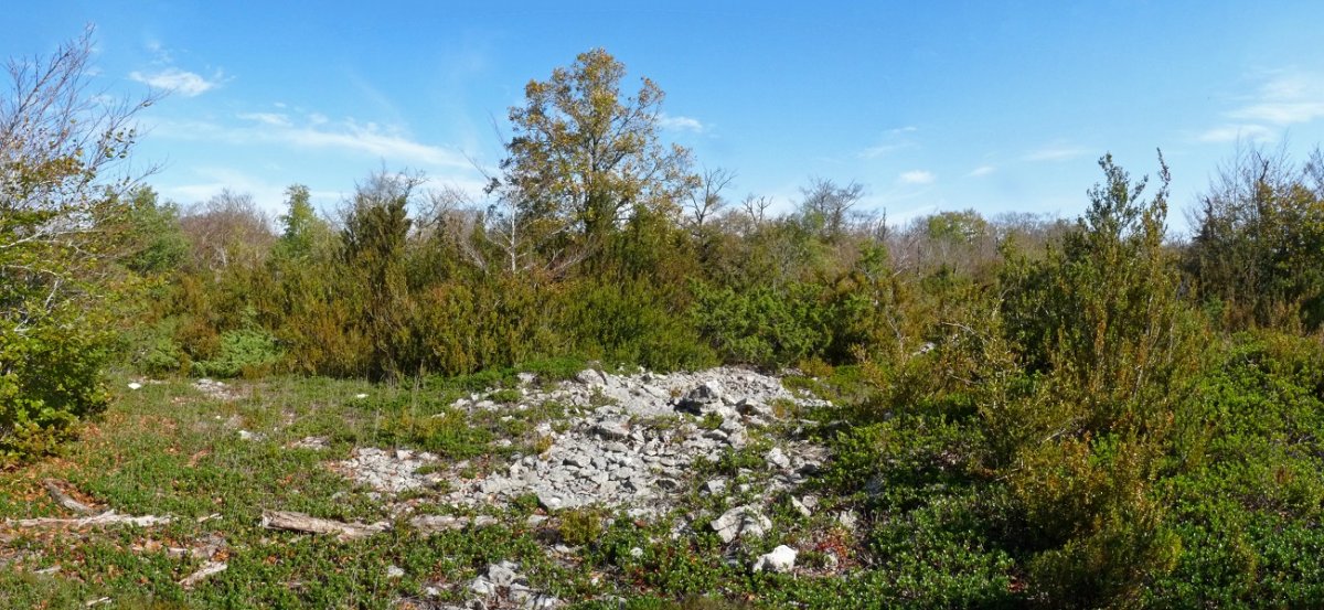 Olataguasko gailurra