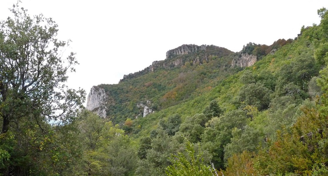 Rallar, Leireko bidetik