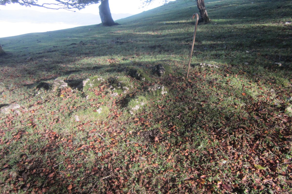 Túmulo Txumartegi IV oeste (Octubre 2020)