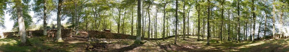 Arlamendiko mintegia