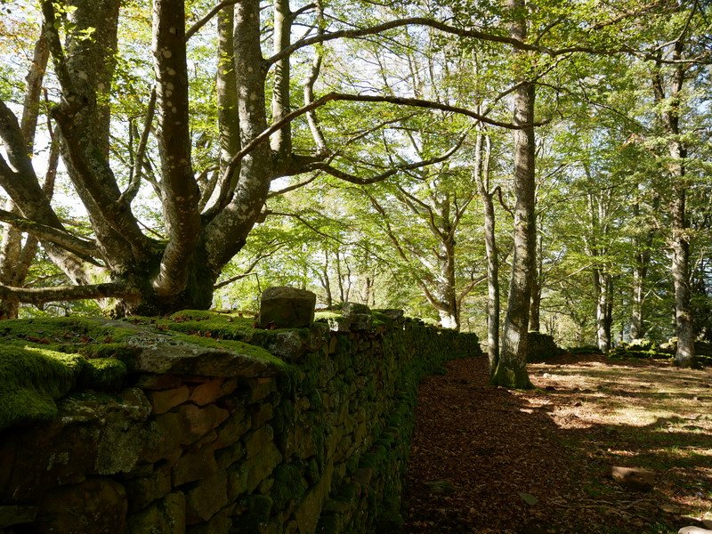 Arlamendiko mintegia