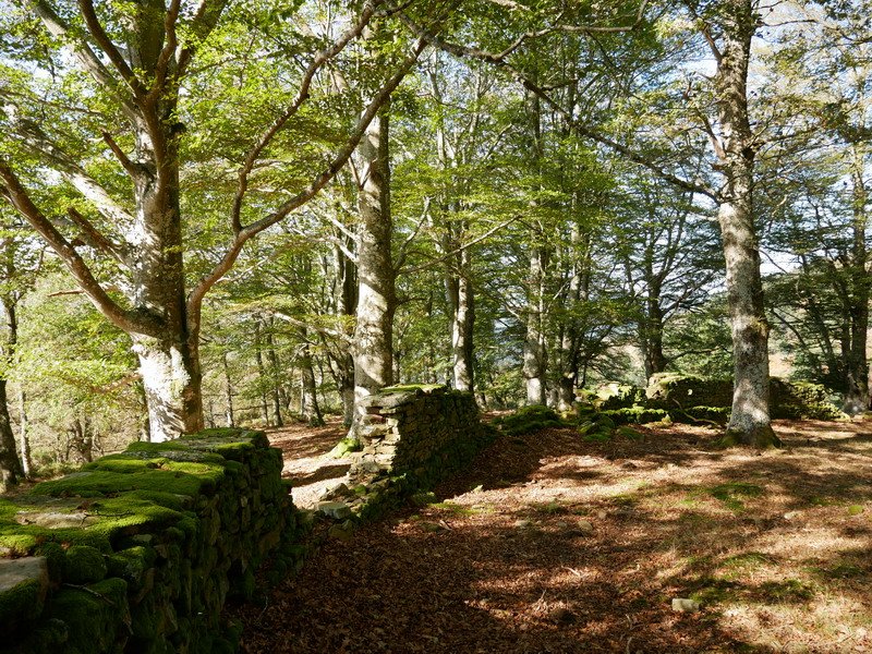 Arlamendiko mintegia