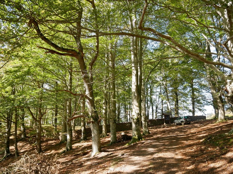 Arlamendiko mintegia