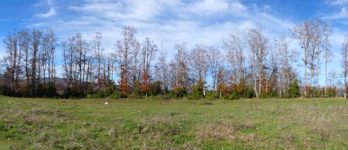 Irungazteluko gailurra