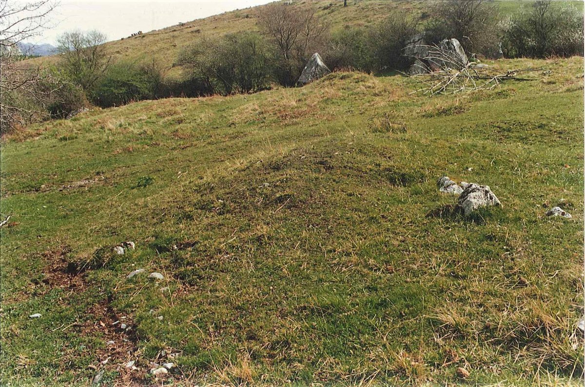 PLAZEGI campo tumular