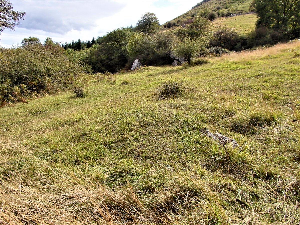 PLAZEGI campo tumular