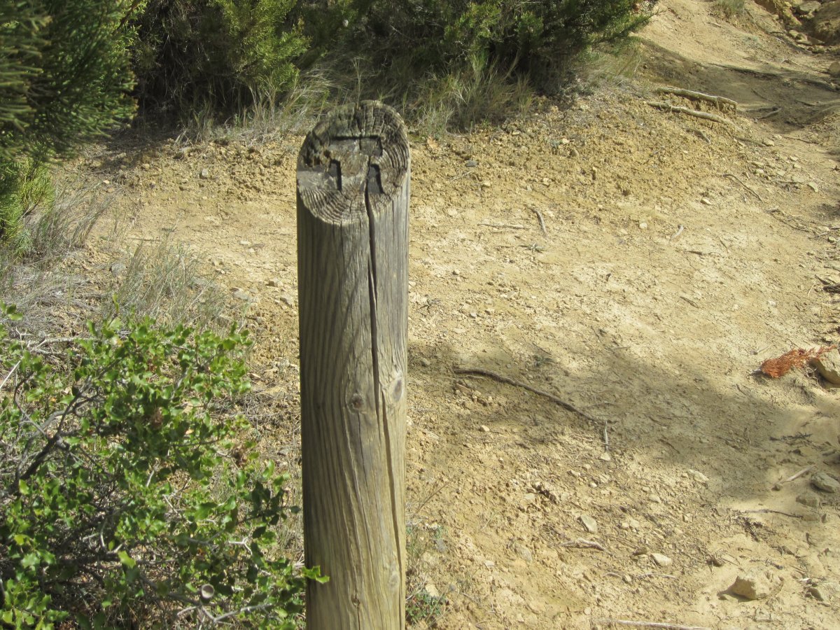 Monolito La Mina (Marzo 2015)