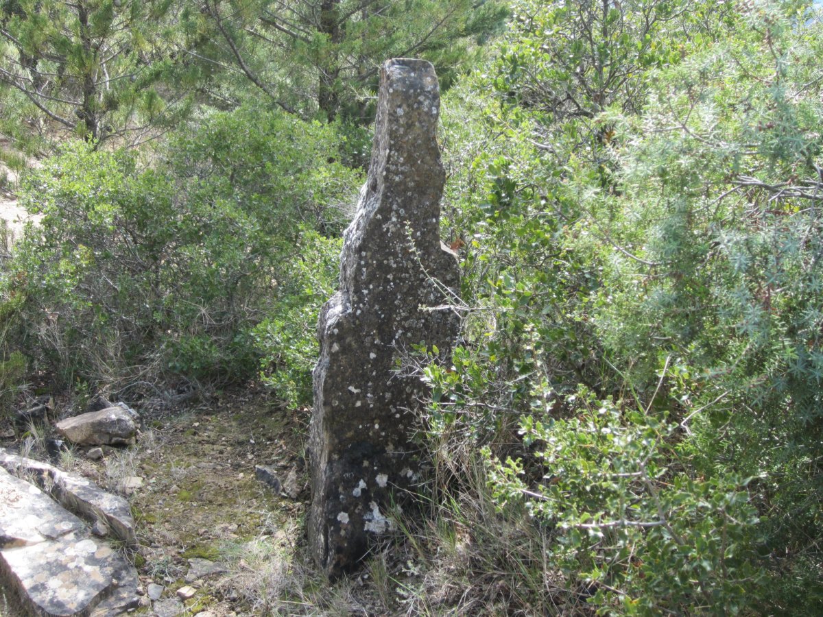 Monolito La Mina (Marzo 2015)