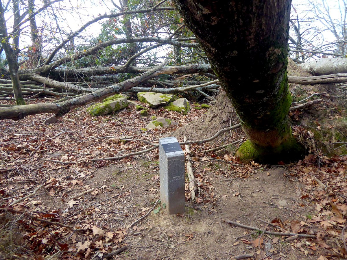 Dólmen Bistarri (Foto I. Gaztelu)  Noviembre 2020