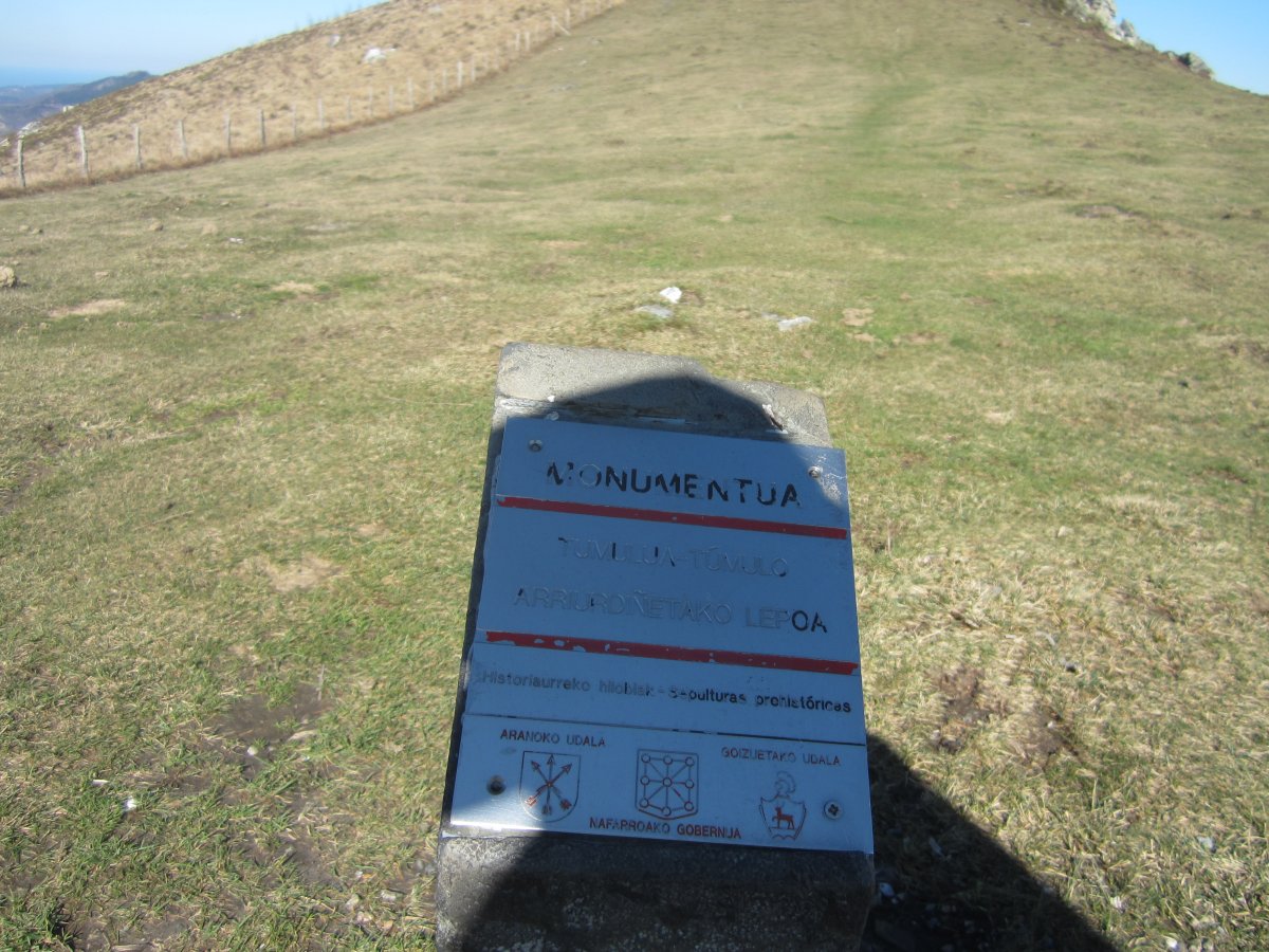 Túmulo Arriurdiñetako Lepoa (Marzo 2014)