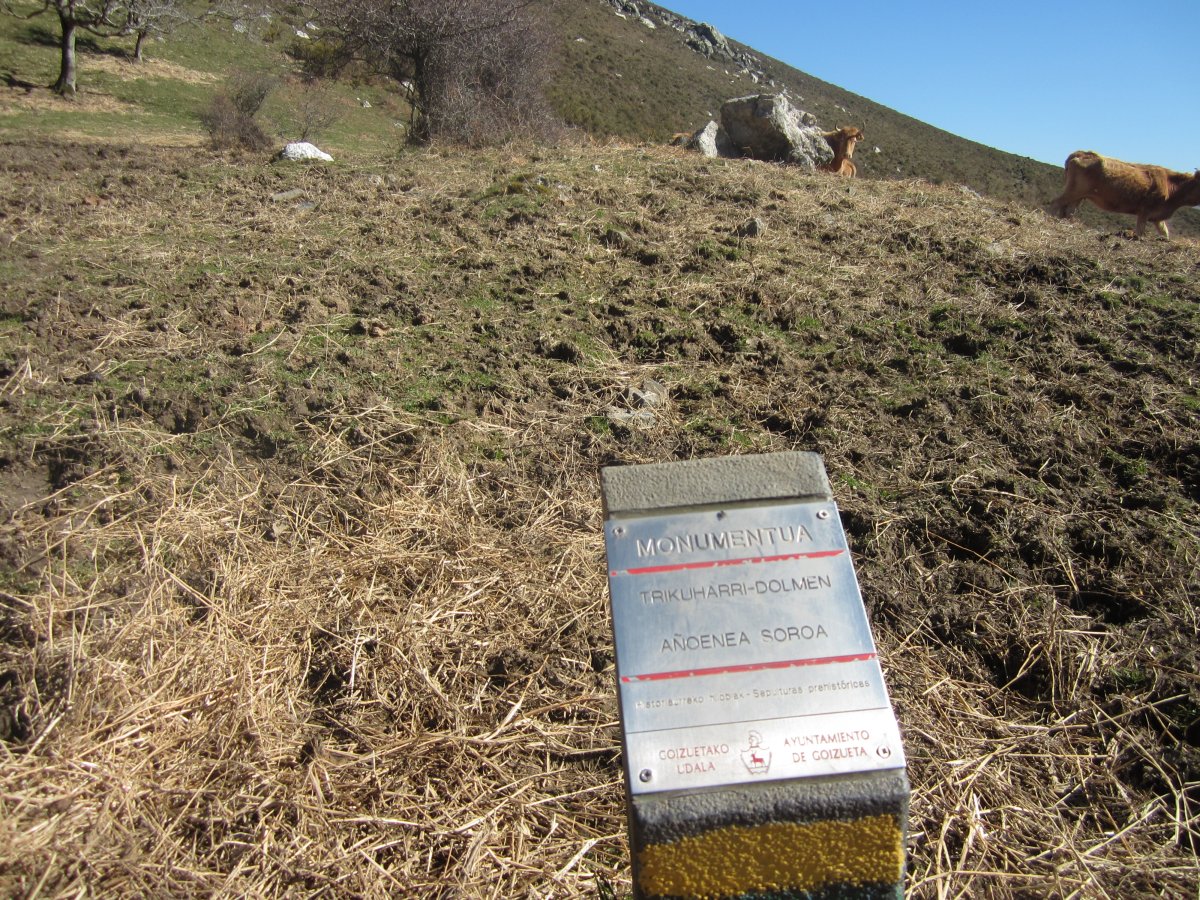 Dólmen Añoenea Soroa (Marzo 2014)