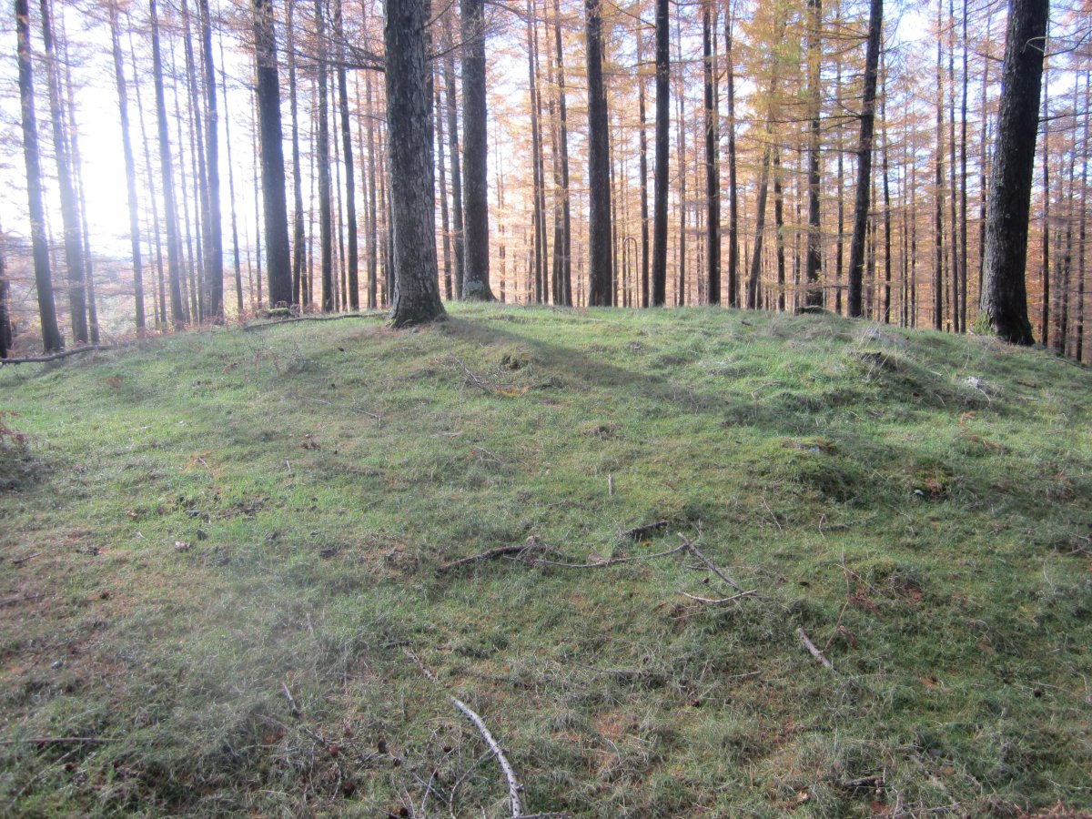 Túmulo Biribilleta (Noviembre 2016)