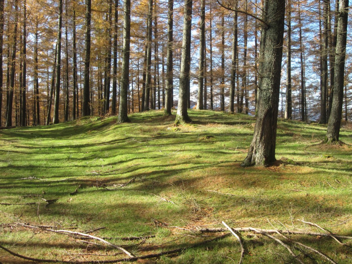 Túmulo Biribilleta (Noviembre 2016)