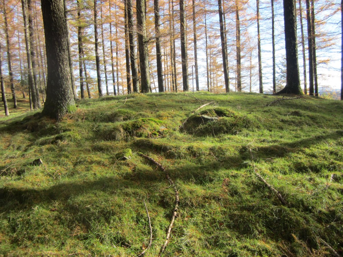 Túmulo Biribilleta (Noviembre 2016)