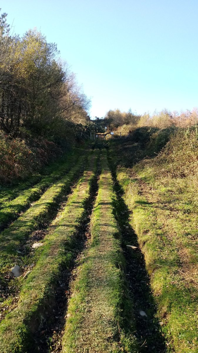 Korosomuino (781m) azken metroak