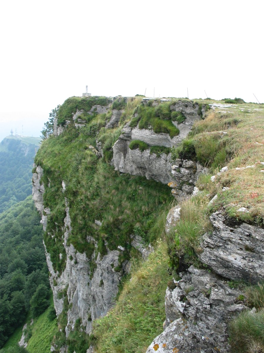Tontorra mendebaldetik