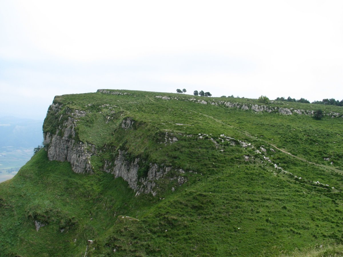 Mendebaldeko gandorra