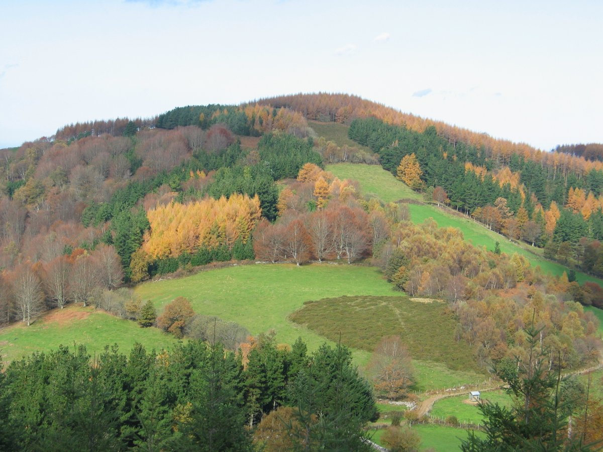 Illaun aldetik, H.tik