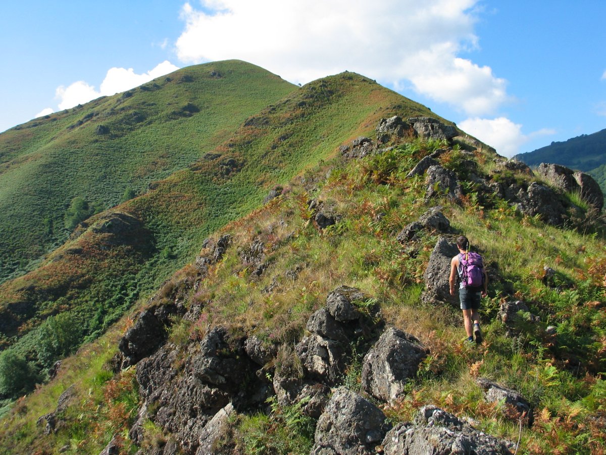 Hartxahaleko gandorra