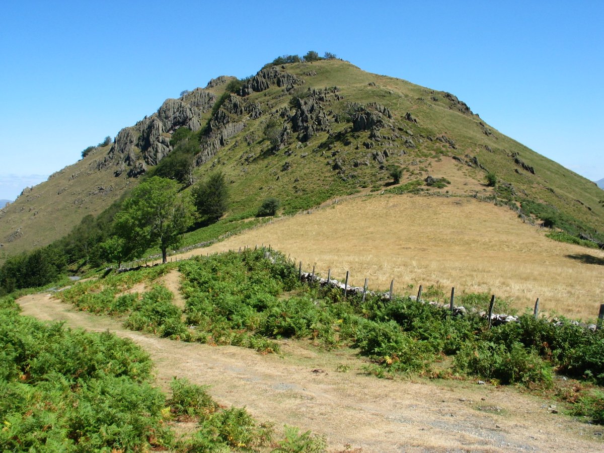 Ireiko lepotik ikusita