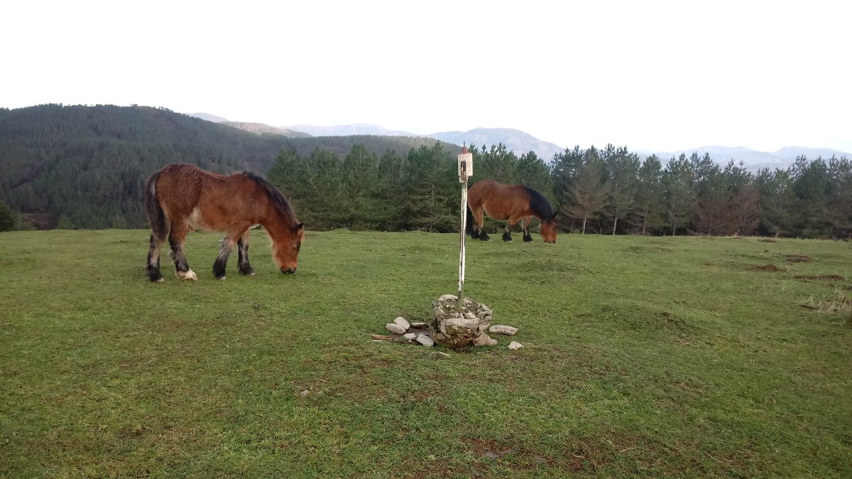 Eluztizain (809m) tontorra