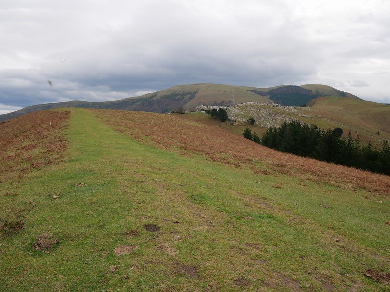 Gongeda eta Zamaia iparraldeko hegitik ikusita