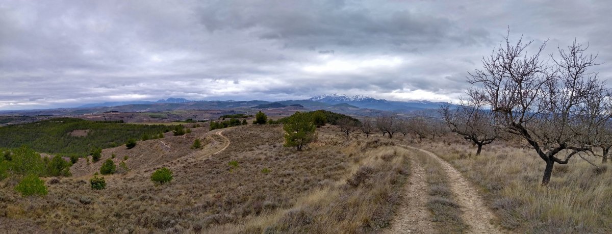 Ioiar, hodeien artean