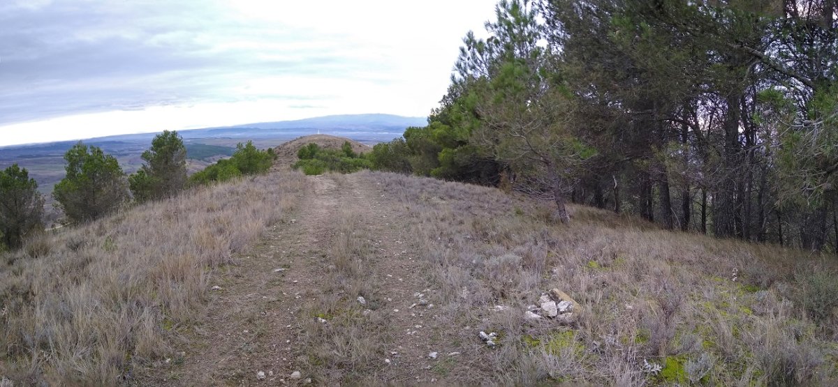 Harri pila gailurrean